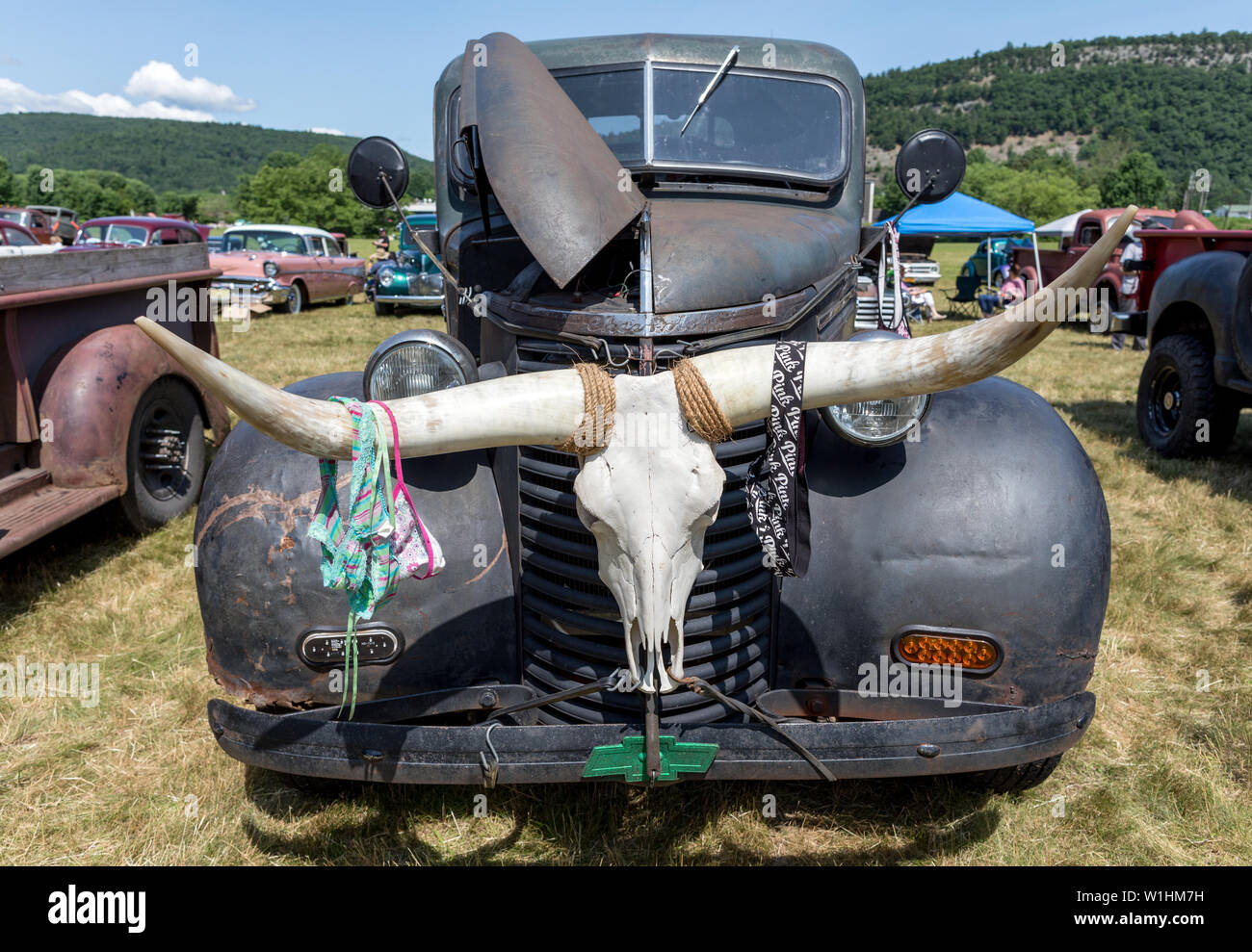 cow horns for car