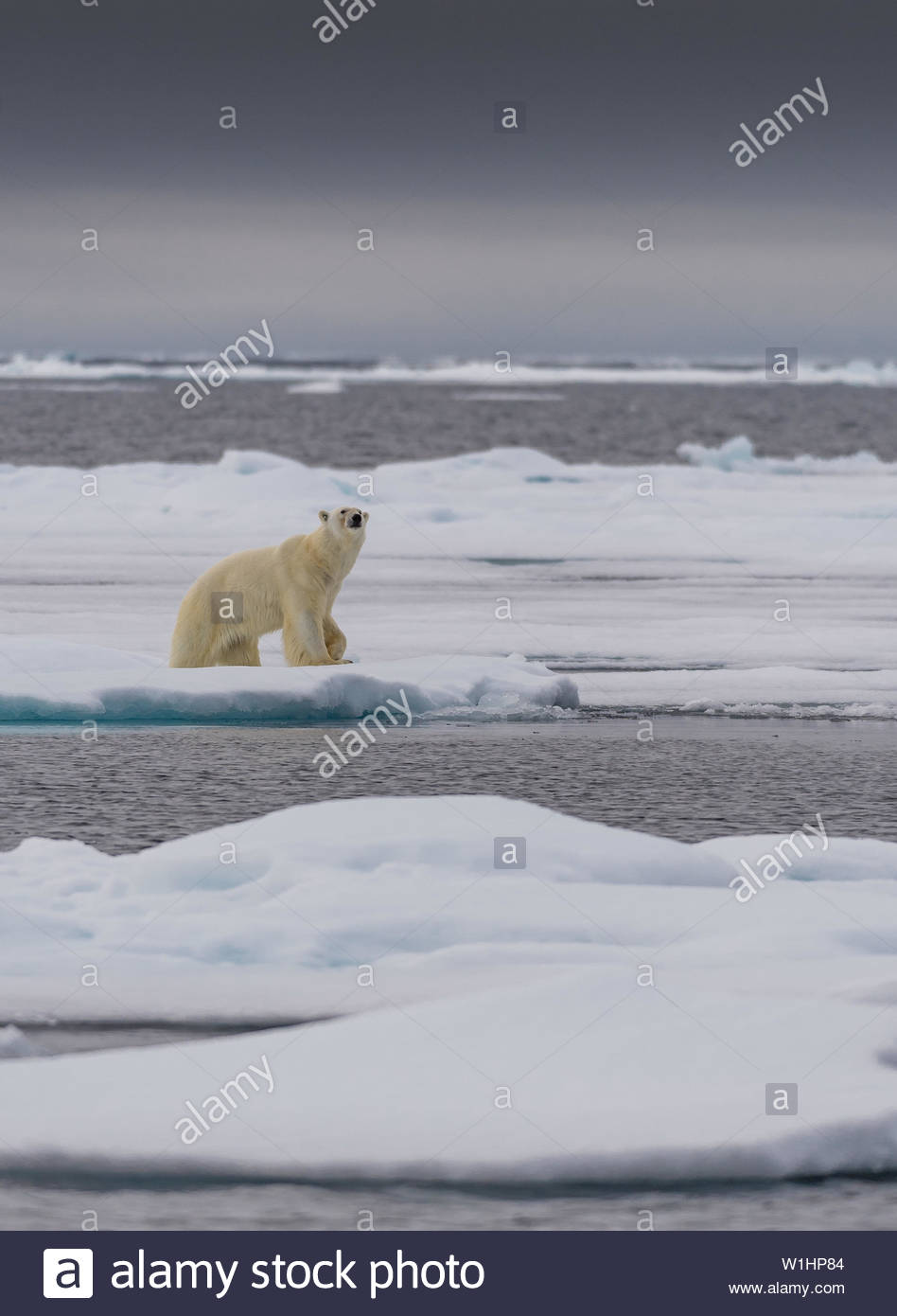 North Pole Landscape Stock Photos & North Pole Landscape Stock Images ...