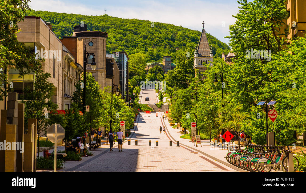 Montreal street light hi-res stock photography and images - Alamy