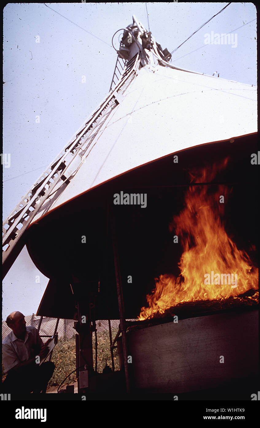 RESEARCH ASSOCIATE ERV MATEER OBSERVES THE BURNING OF WHEAT STRAW IN AGRICULTURAL BURNING TOWER; THE PURPOSE IS TO IMPROVE BURN METHODS OF AGRICULTURAL WASTE DISPOSAL, AND TO REDUCE CONTAMINANTS Stock Photo