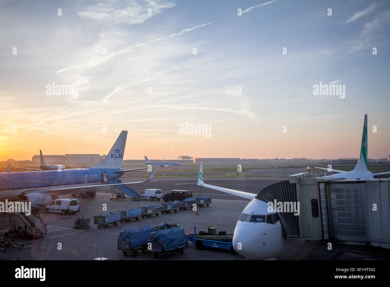 AMSTERDAM - NETHERLANDS, NOVEMBER 15, 2018: KLM Dutch airlines planes taxxing while a Transavia plane is bording in Amsterdam Schiphol Airport, the hu Stock Photo