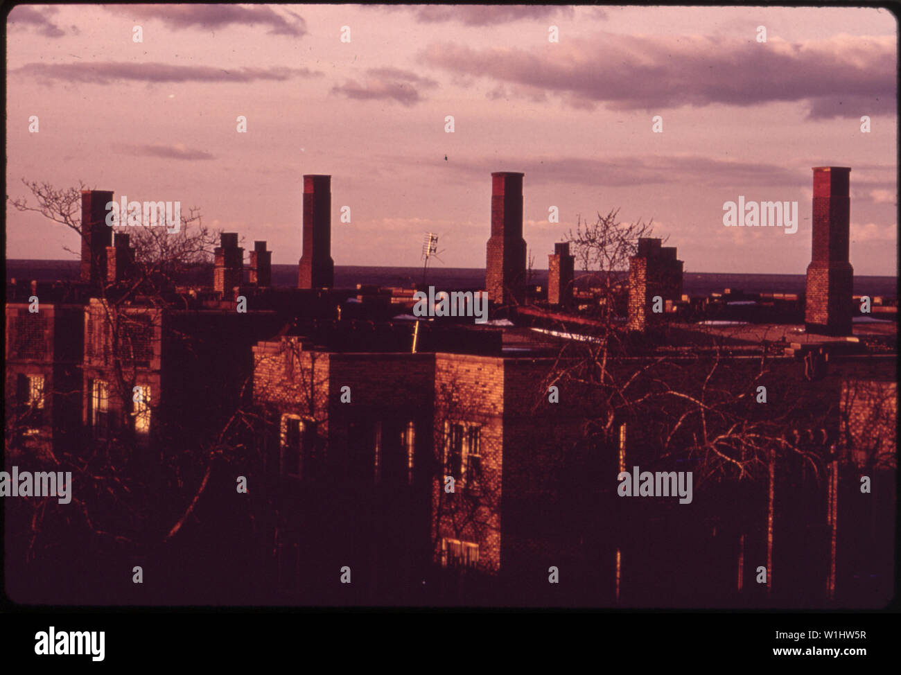 ROOFTOPS IN CHICAGO'S NORTH SIDE Stock Photo - Alamy