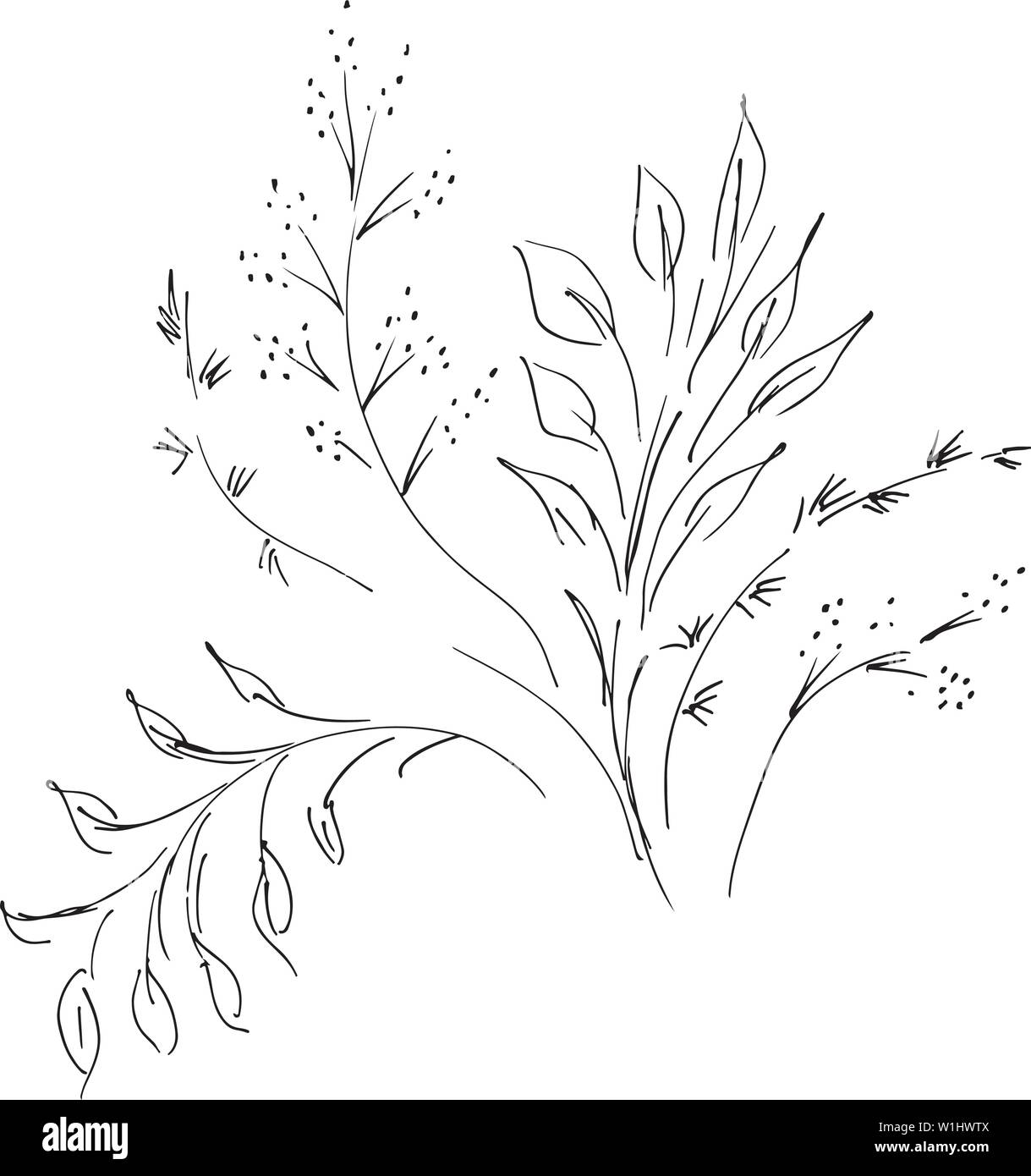 Hand Drawn Vector Illustrations Of Abstract Set of Flowers Isolated on ...