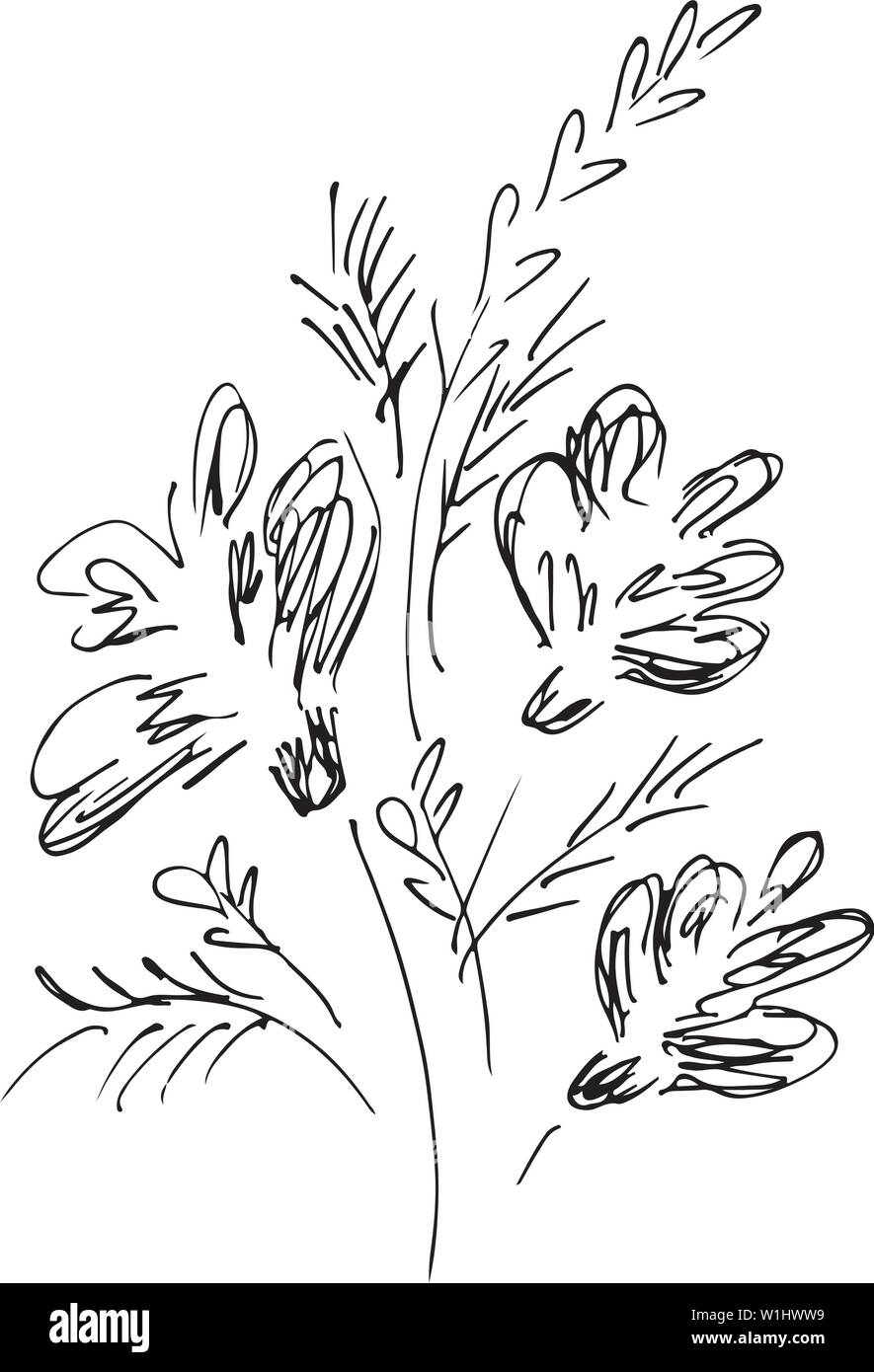 Hand Drawn Vector Illustrations Of Abstract Set of Flowers Isolated on ...