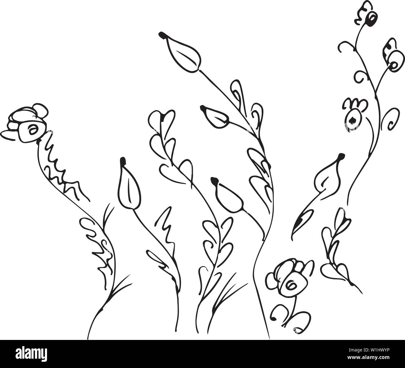 Hand Drawn Vector Illustrations Of Abstract Set of Flowers Isolated on ...