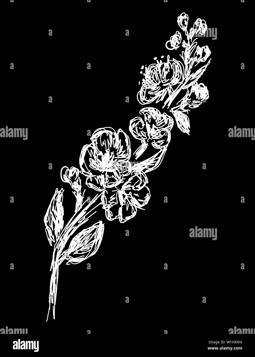 Vector Sakura Branch Illustration Isolated On White Background Flower Vector Illustration In Black Outline And White Plane On White Background Stock Vector Image Art Alamy