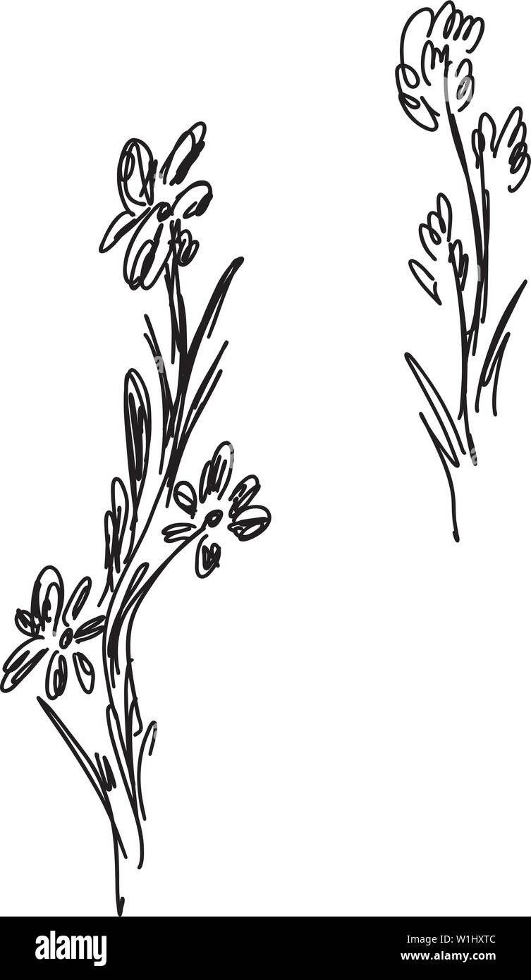 Hand Drawn Vector Illustrations Of Abstract Set of Flowers Isolated on ...
