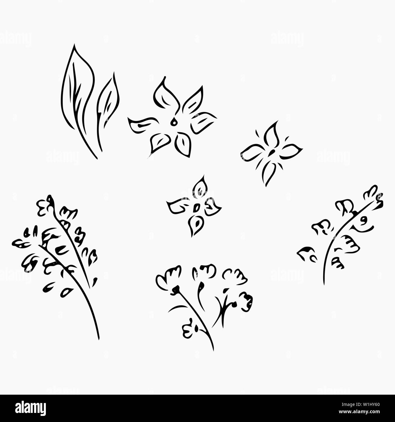 Hand Drawn Vector Illustrations Of Abstract Set of Flowers Isolated on ...