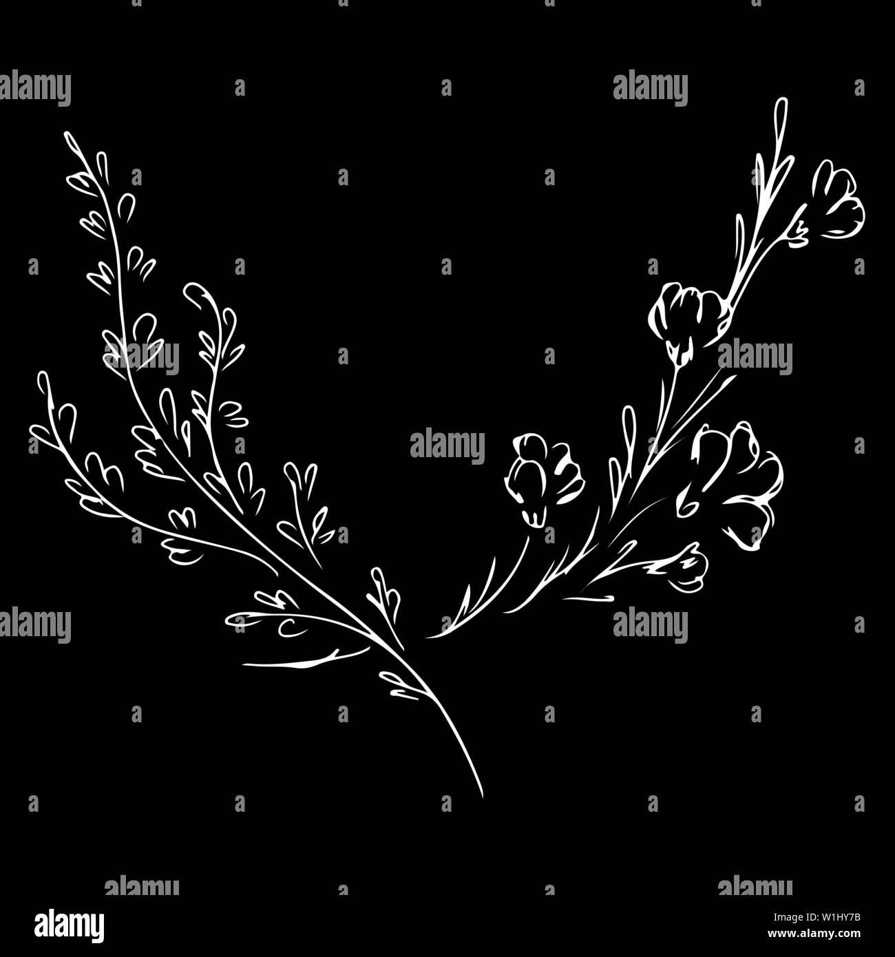 Hand Drawn Vector Illustrations Of Two Branches With Flowers and Leaves ...