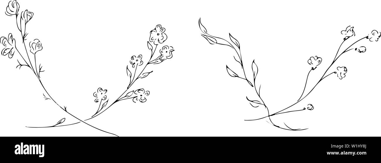 Hand Drawn Vector Illustrations Set Of Branches With Flowers and Leaves ...