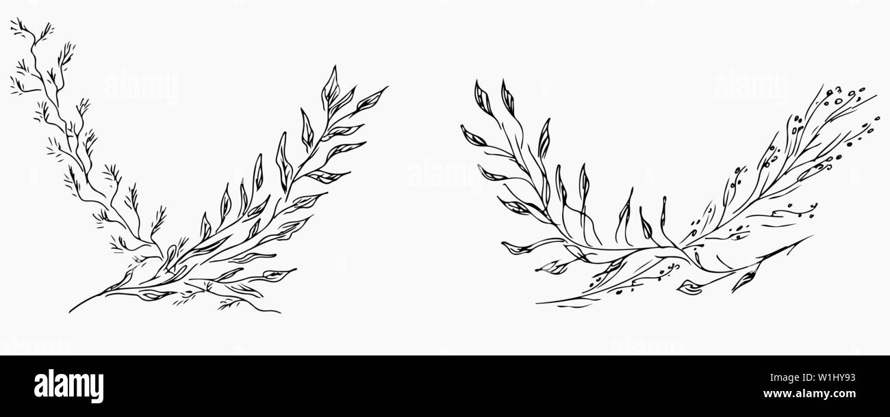 Hand Drawn Vector Illustrations Set Of Branches With Flowers and Leaves ...