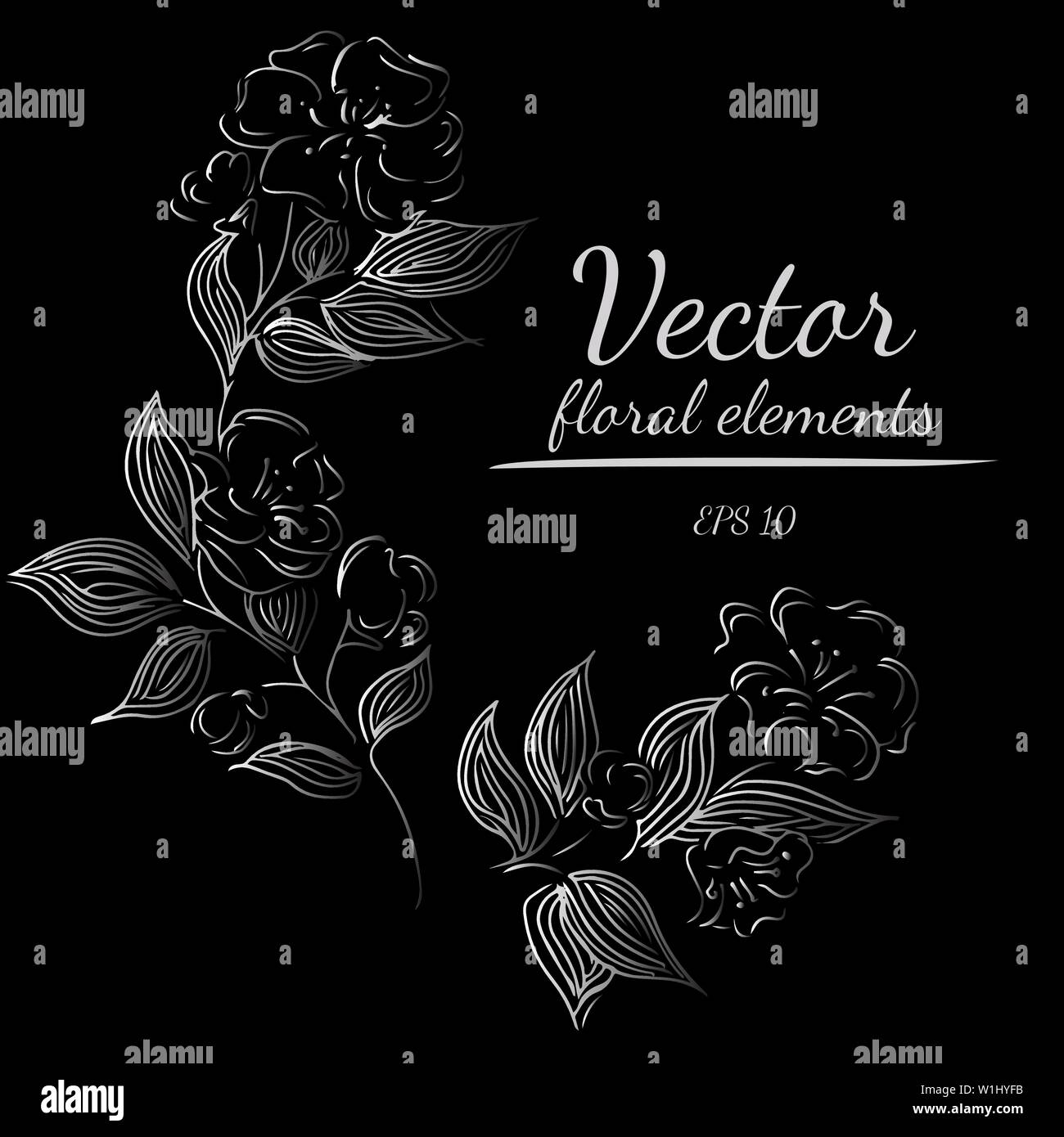 Hand Drawn Vector Illustrations Of Abstract Set of Flowers Isolated on ...