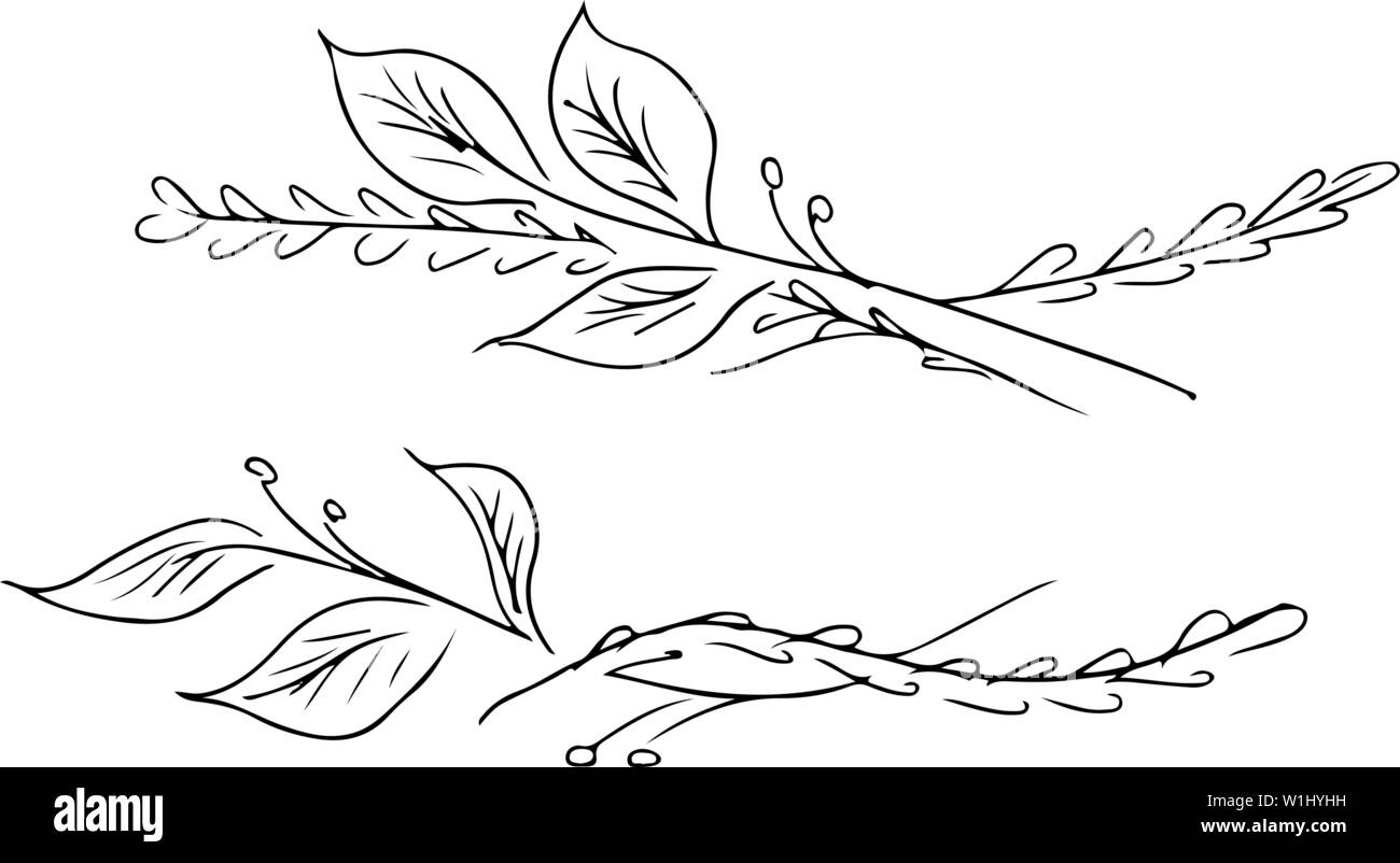 Hand Drawn Vector Illustrations Of Two Branches With Flowers and Leaves ...