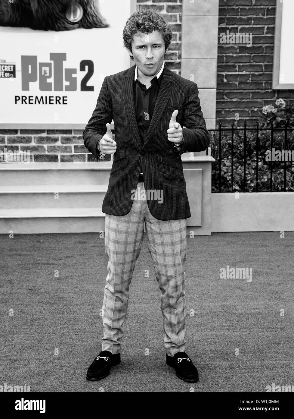 Los Angeles, CA - June 02, 2019: Sean Giambrone attends the Premiere Of