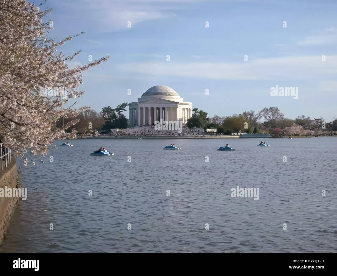 paddle boats on the tidal basin with jefferson memorial Stock Photo Alamy
