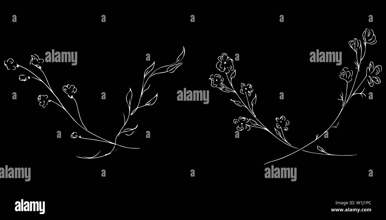 Hand Drawn Vector Illustrations Set Of Branches With Flowers and Leaves ...