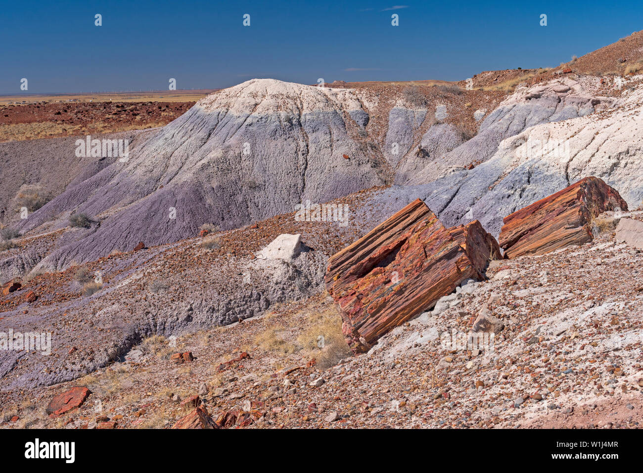 Petrified Wood in the Colorful Hills of the Painted Desert in Petrified Forest National Park in Arizona Stock Photo