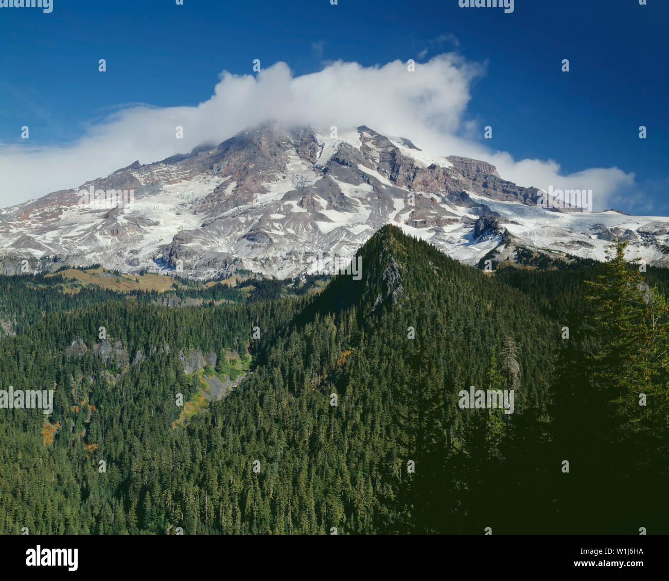 USA, Washington, Mt. Rainier National Park, Summit of Mt. Rainier ...
