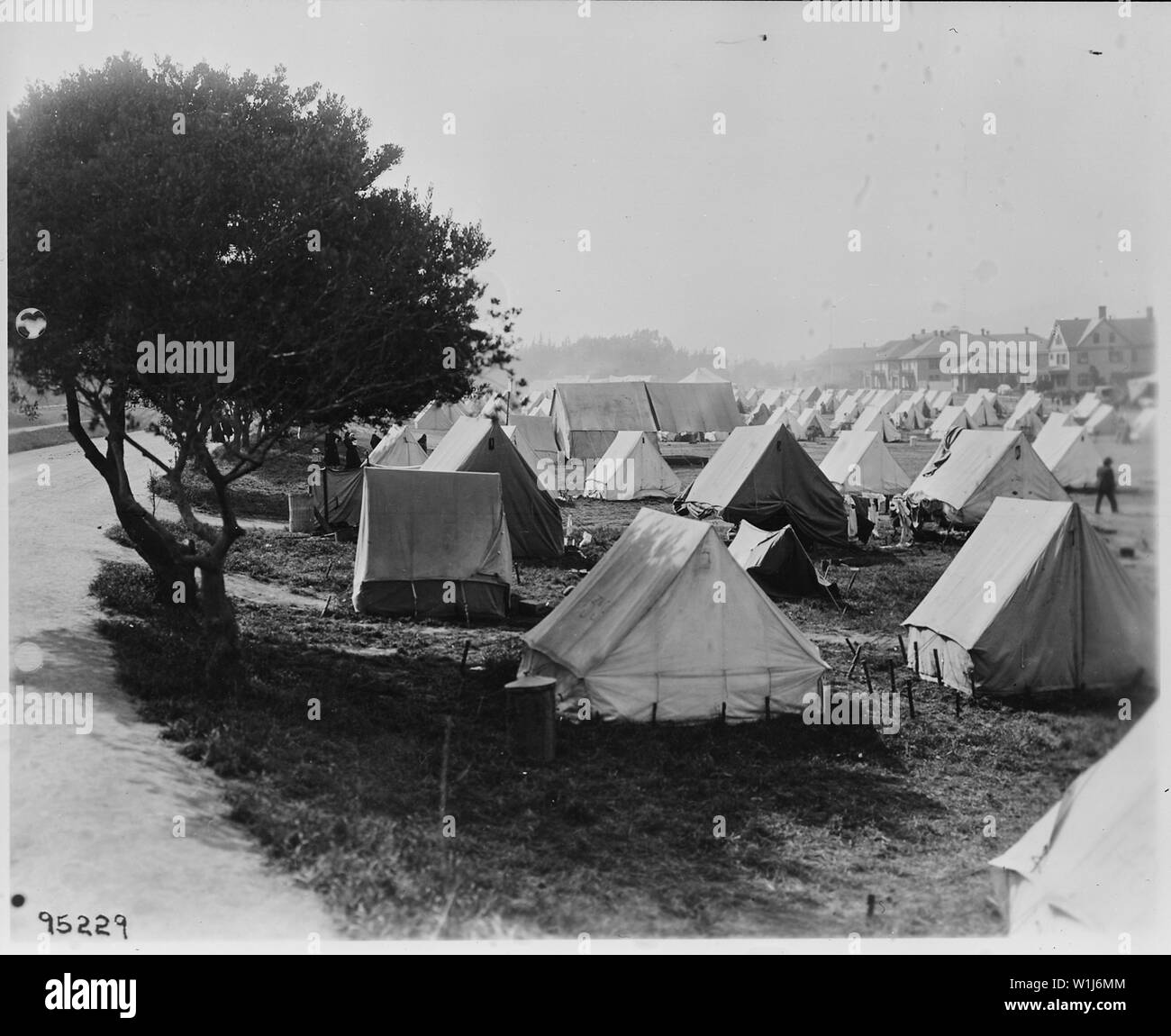 San Francisco Earthquake Of 1906 A Refugee Camp In The Area Adjacent