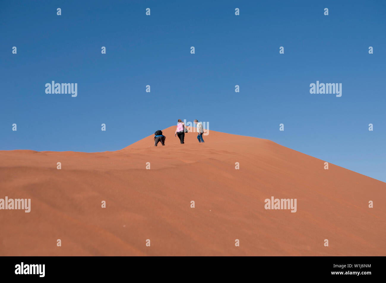 Hikers climbing up a sand dune ridge at Sossusvlei, Namib-Naukluft National Park, Namibia. Stock Photo