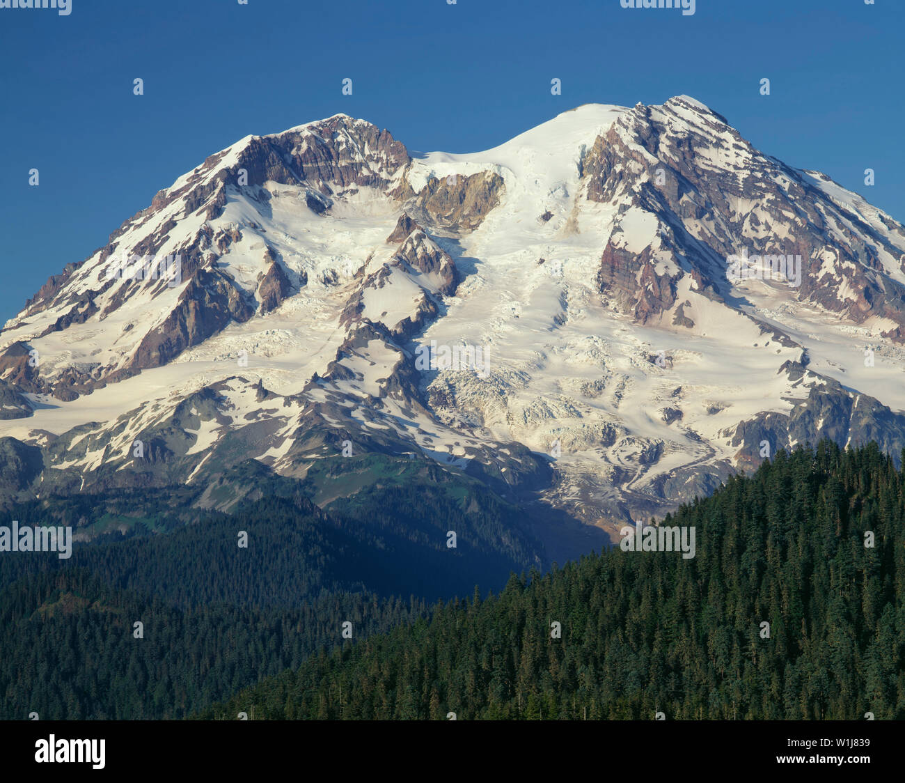 USA, Washington, Mt. Rainier National Park, West side of Mt 