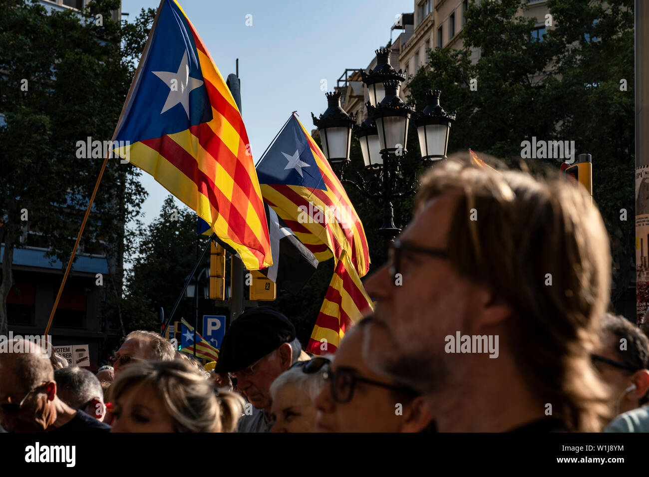 Barcelona, Spain. 02nd July, 2019. Catalan independence flags are seen amidst the protesters during the demonstration.In correspondence with the rallies in front of the European Parliament in Strasbourg, hundreds of supporters for the independence of Catalonia have gathered in front of the headquarters of the European Commission in Barcelona in support of the three elected Catalan deputies to whom the Spanish authorities have prevented their recognition as European parliamentarians given their judicial status. Credit: SOPA Images Limited/Alamy Live News Stock Photo