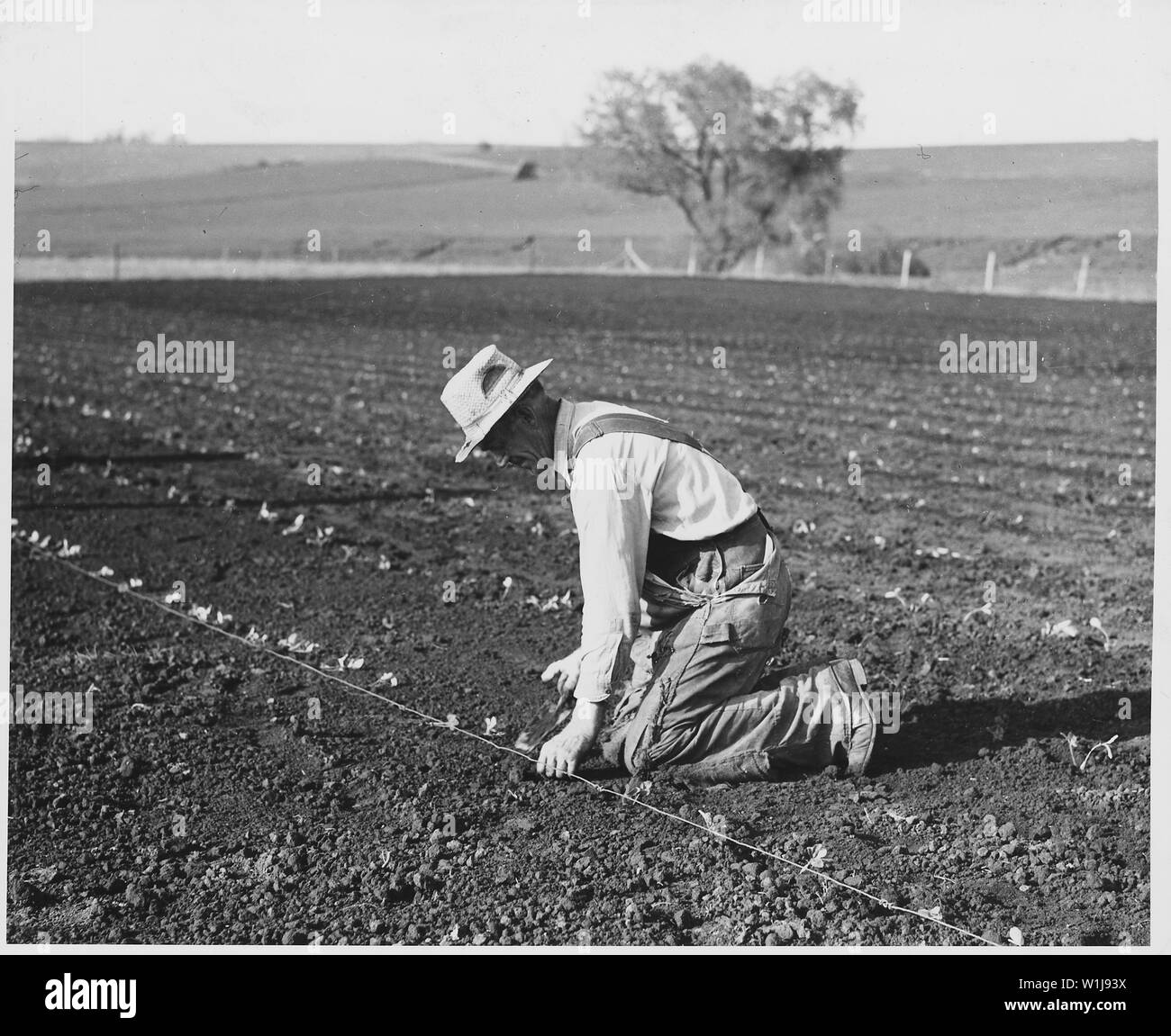 Shelby County, Iowa.... Detailed description Market gardens are rare in Shelby County, but a