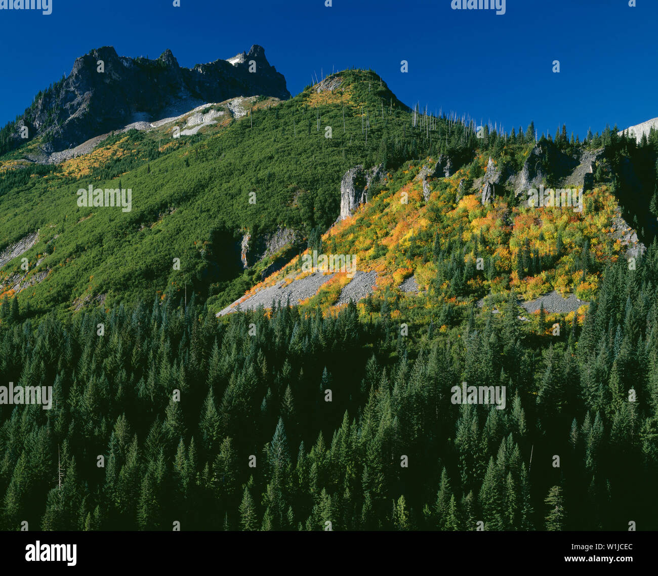 USA, Washington, Mt. Rainier National Park, Stevens Peak, part of the ...