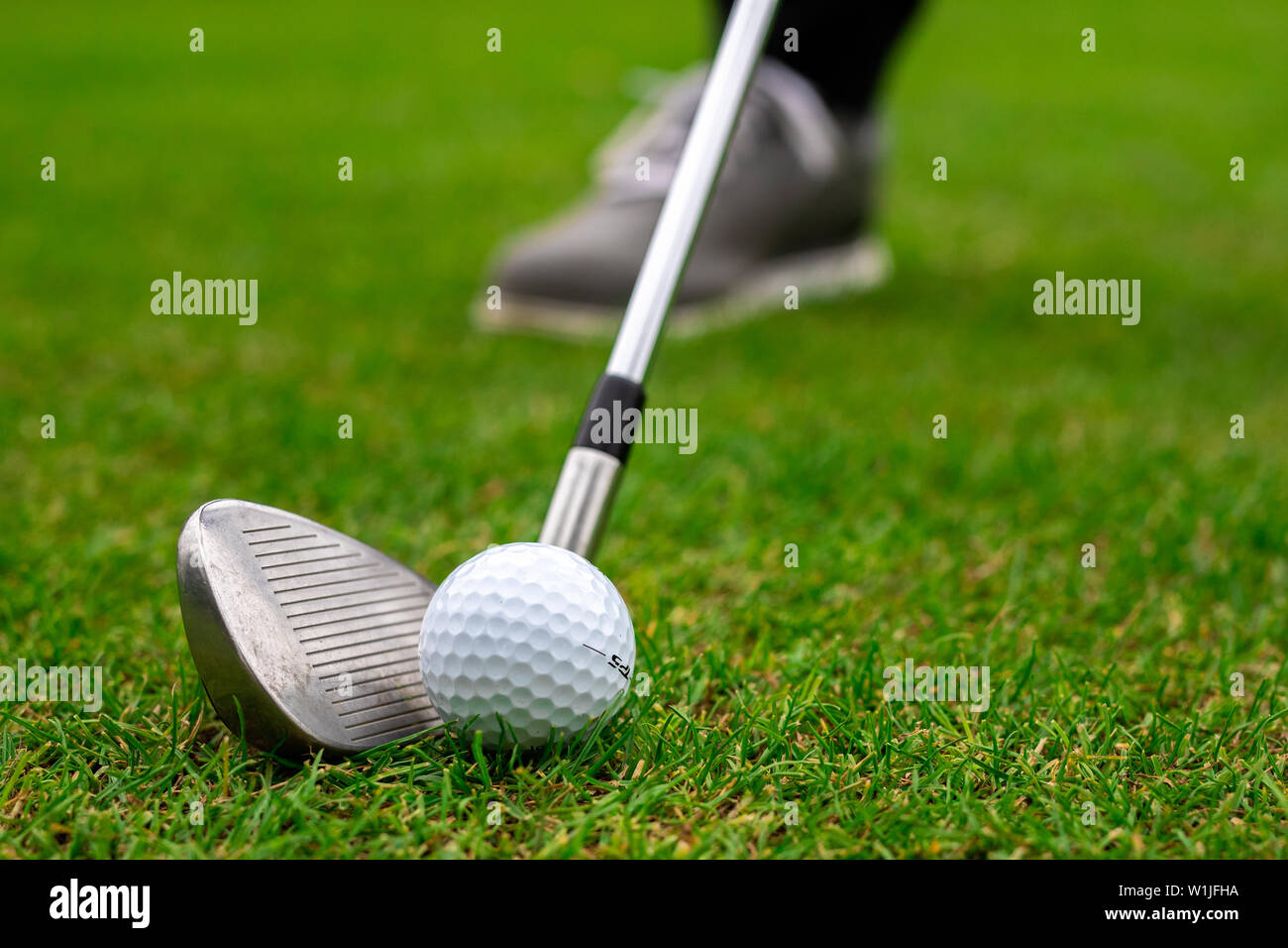 A professional golfer playing a round of golf Stock Photo Alamy