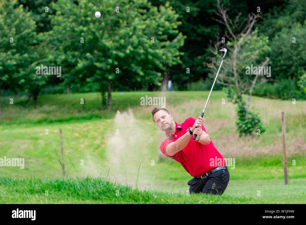 A professional golfer playing a round of golf Stock Photo Alamy
