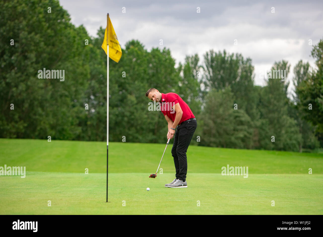 A professional golfer putting on the green Stock Photo Alamy