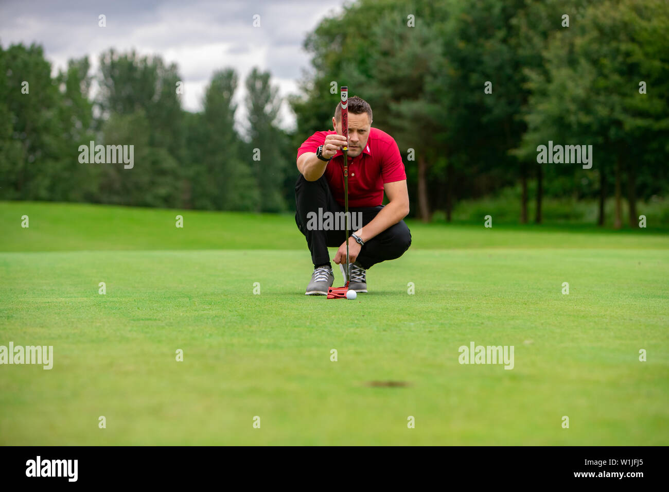 A professional golfer putting on the green Stock Photo Alamy