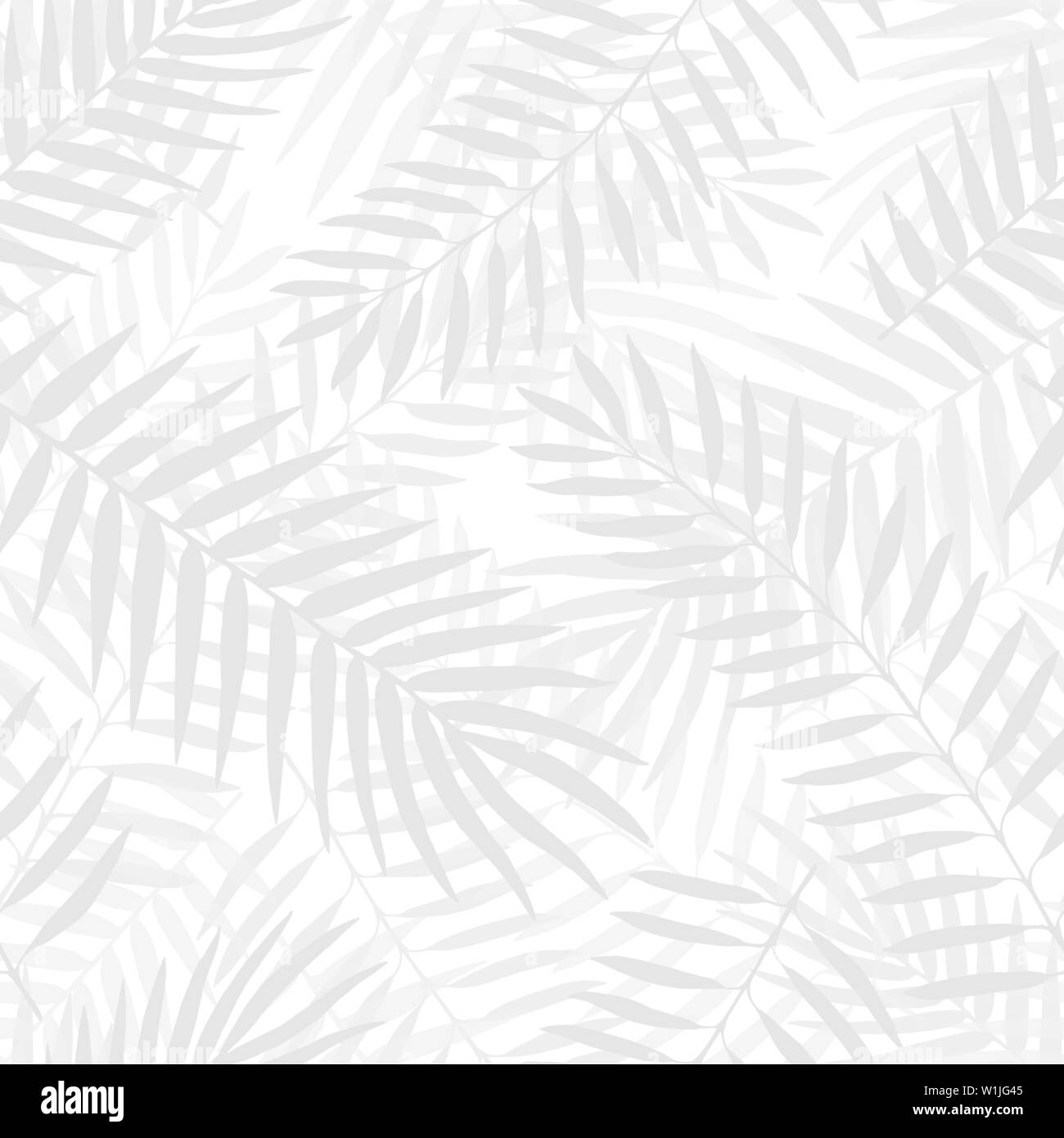 Hand drawn vector Black and white palm leaves seamless pattern Stock ...