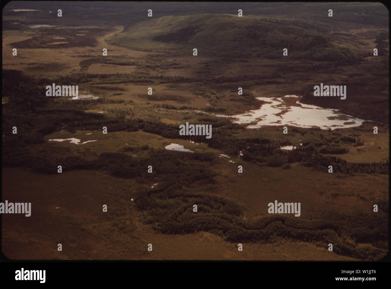TYPICAL LAKES AND MARSHY LOWLANDS SOUTH OF THE YUKON RIVER Stock Photo TYPICAL LAKES AND MARSHY LOWLANDS SOUTH OF THE YUKON RIVER Stock Photo