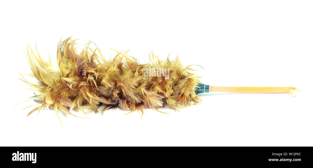 Closeup feather duster on white background Stock Photo