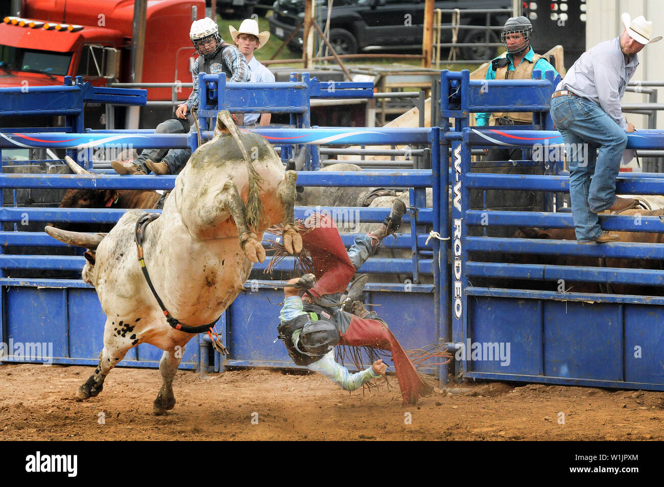 Sawyer Roth Bull Rider Actionenergy High Resolution Stock Photography and Images - Alamy