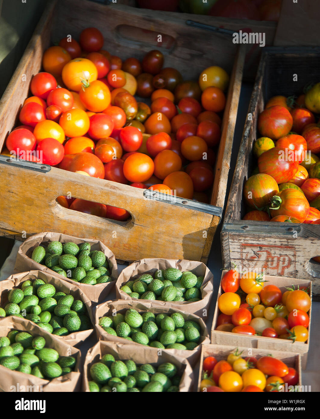 Tomatoes and gerkins at the Salt Lake City Farmer's Market at Pioneer ...
