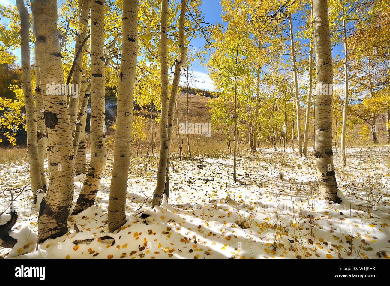 Uinta wasatch hires stock photography and images Alamy