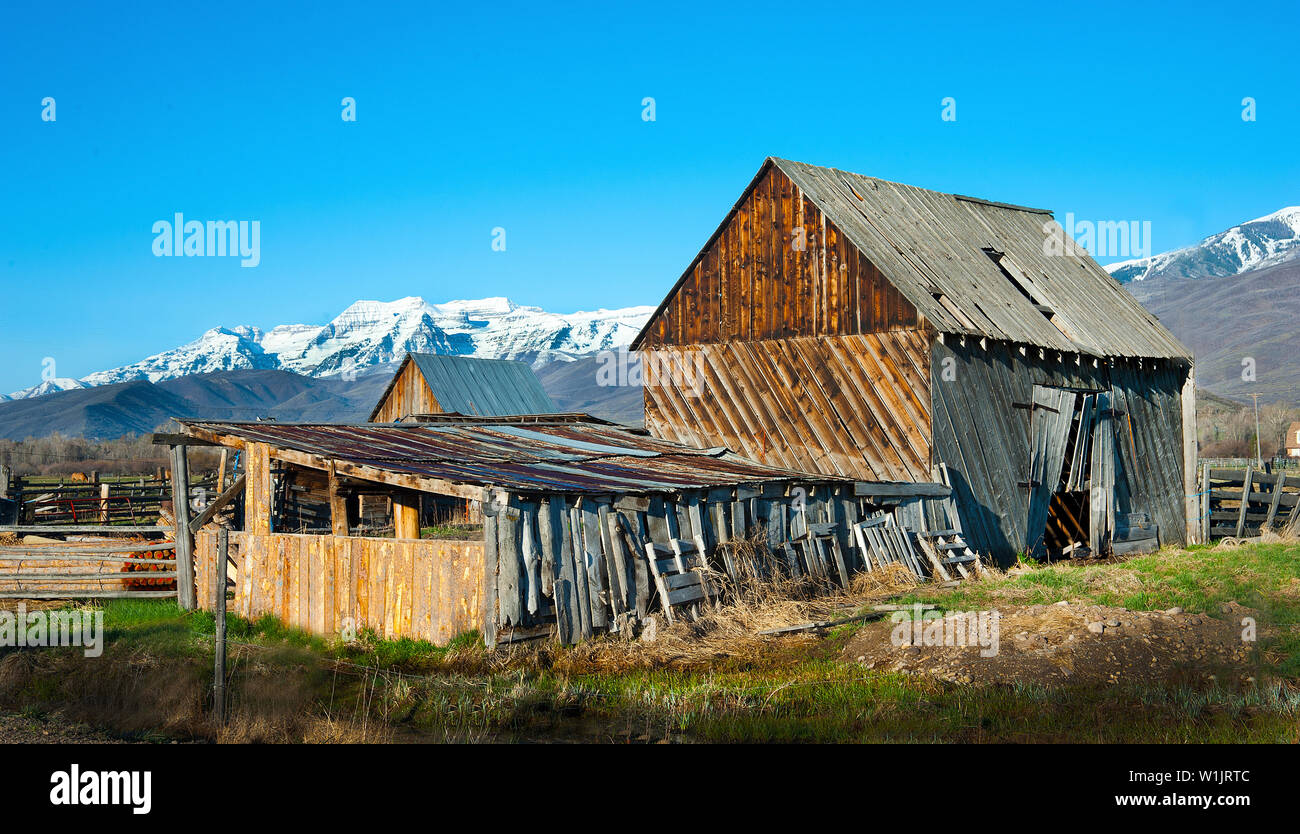 An old barn rests in the foothills of Mt. Timpanogos near Midway, Utah in rural Wasatch County. (c) 2012 Tom Kelly Stock Photo