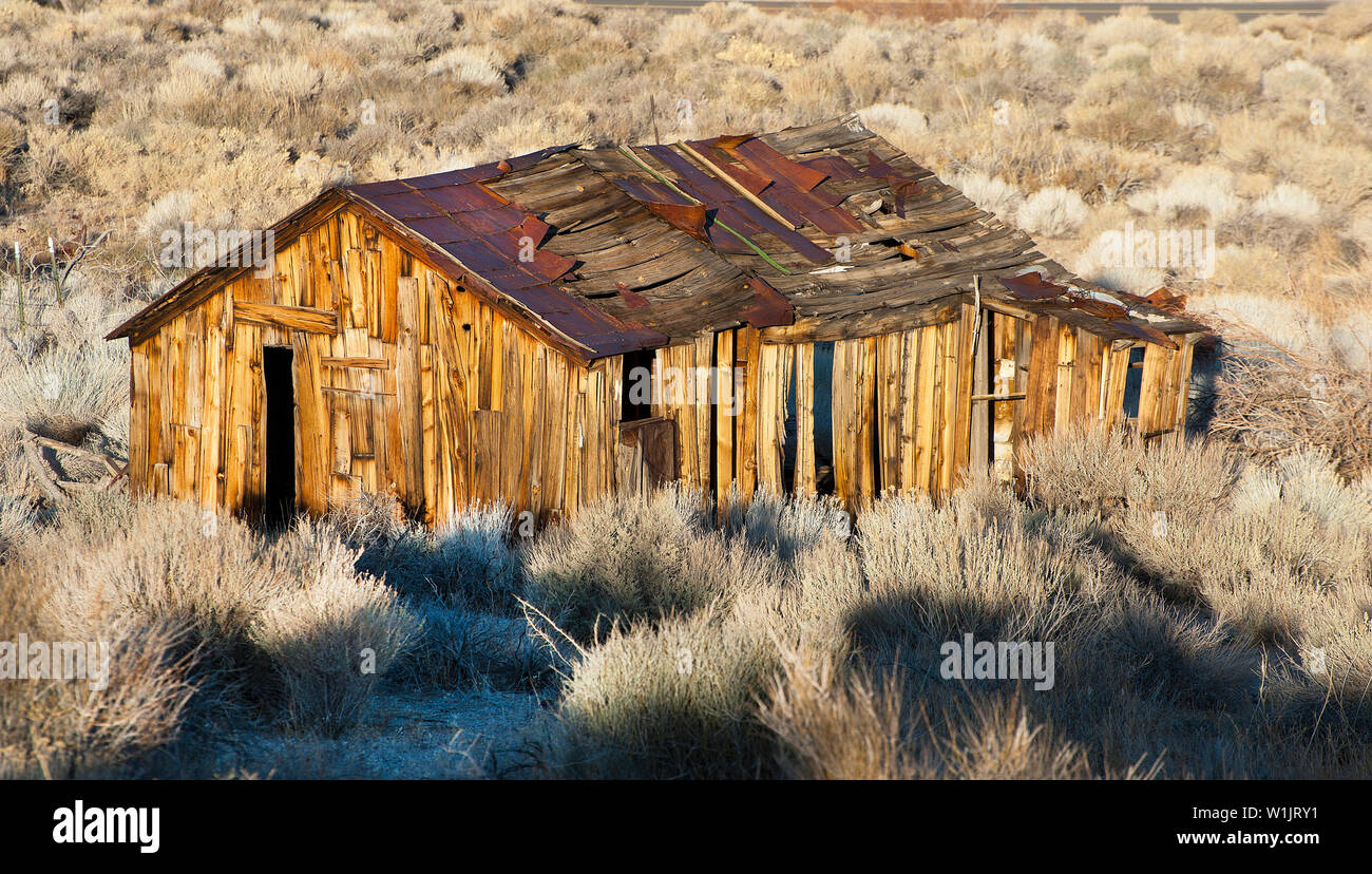 An old barn stands out amidst the desert sage near Benton Hot Springs, California. (c) 2012 Tom Kelly Stock Photo