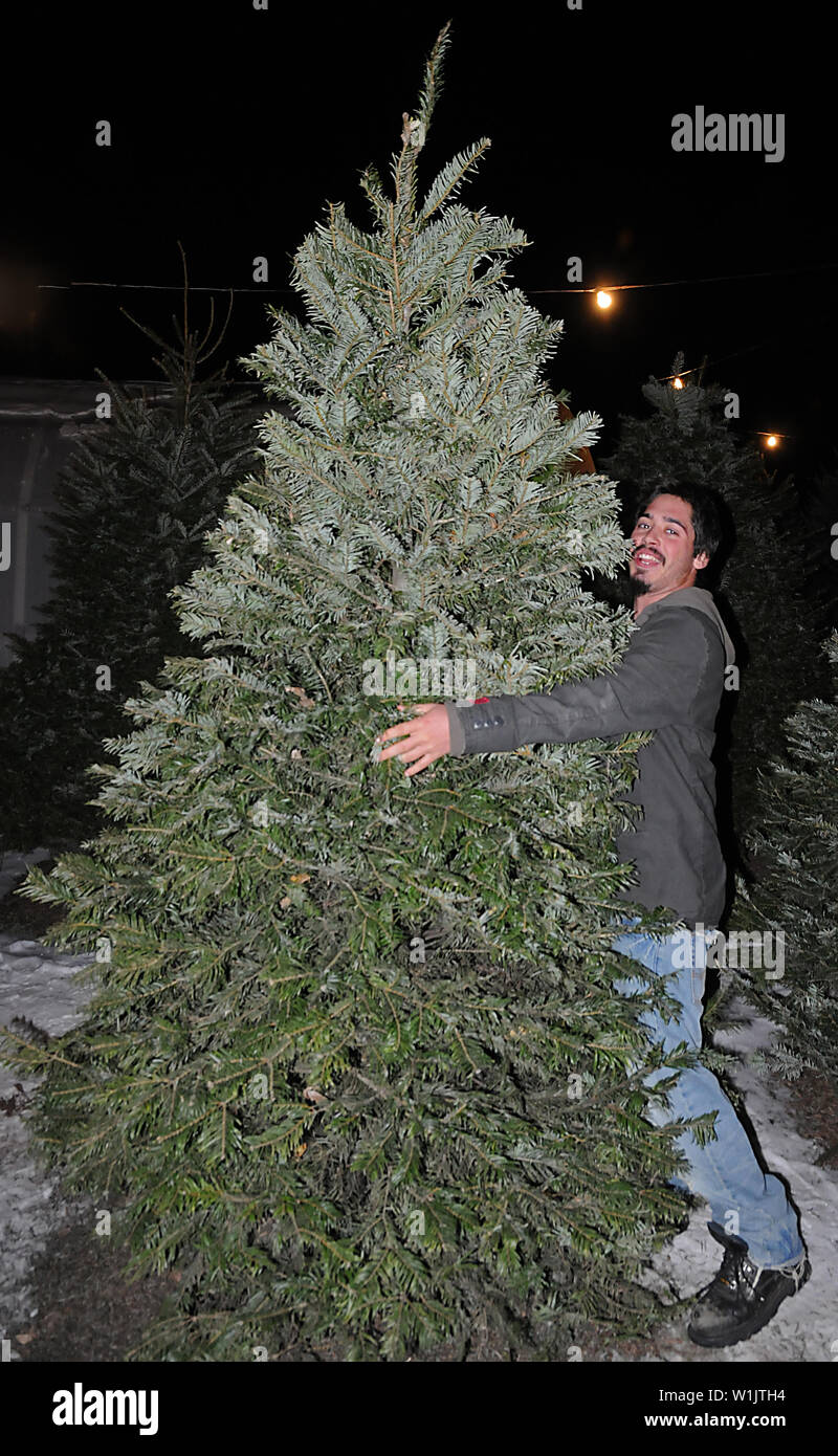 Zachary hugs the Christmas tree of his choice at the Park City Nursery