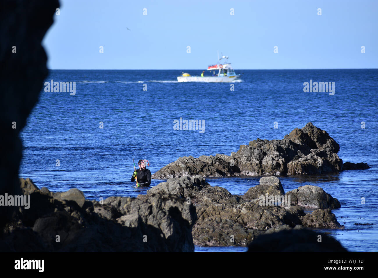 Spearfishing diver above water with fishing boat in background New Zealand Stock Photo