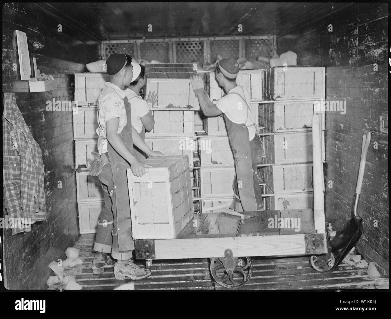 Tule Lake Relocation Center, Newell, California. Crates of vegetables