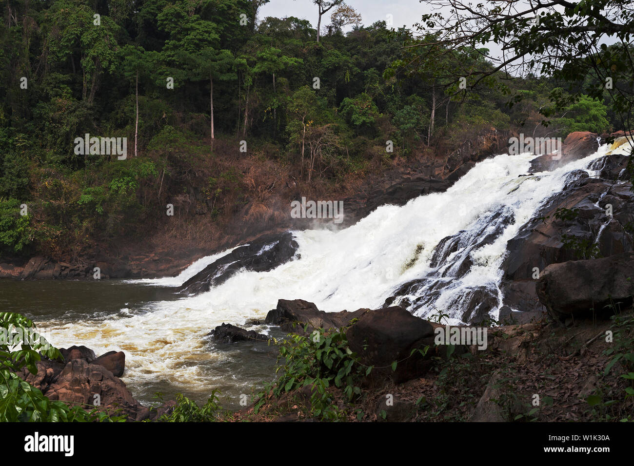 Bumbuna Falls on rapids of River Rokel near Bumbuna village in bush amongst lush vegetation of rain forest, Sierra Leone Stock Photo