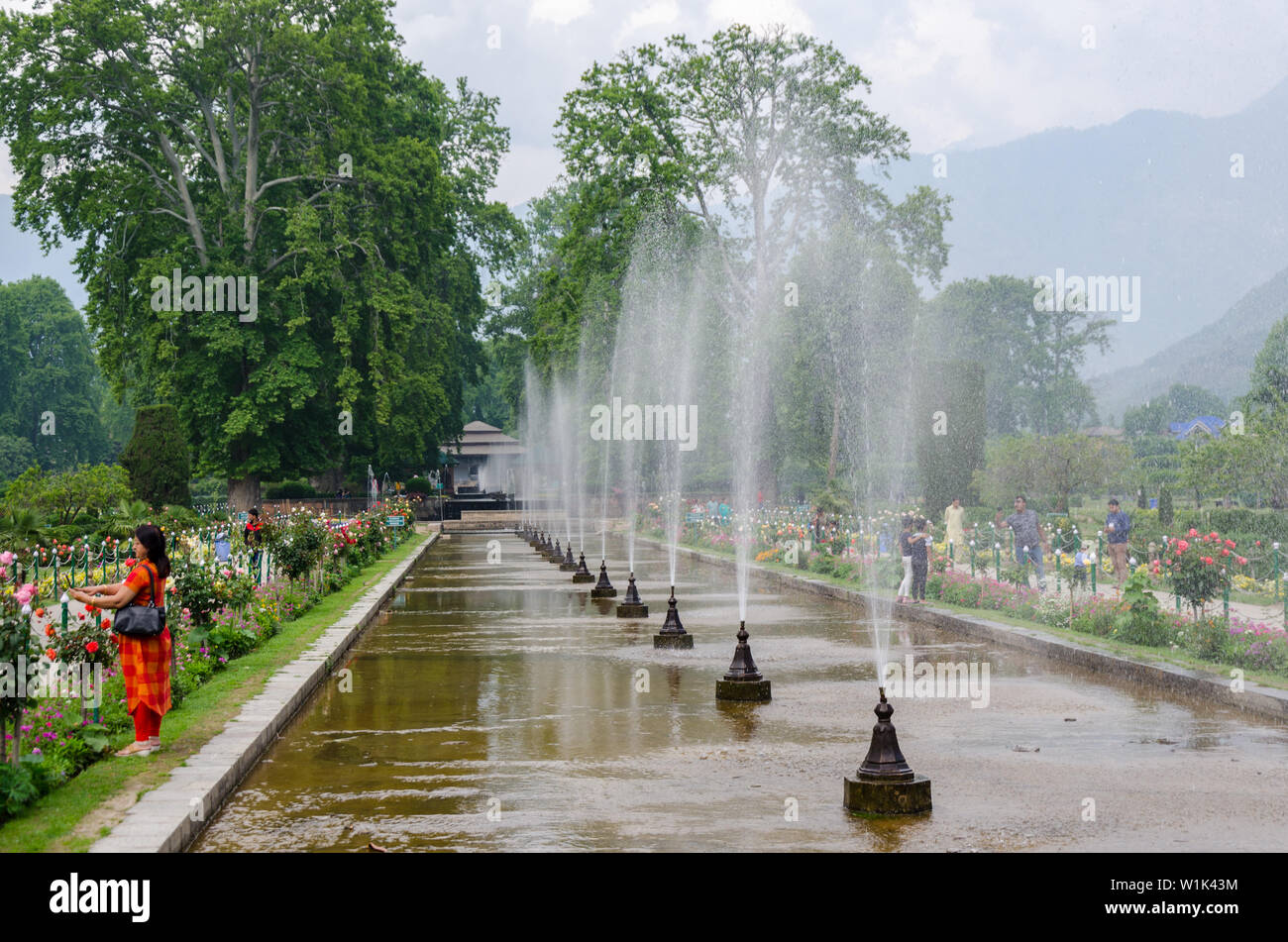 Terraces fitted with fountains and with chinar (sycamore) tree-lined vistas at Shalimar Bagh, Srinagar, Jammu and Kashmir, India Stock Photo