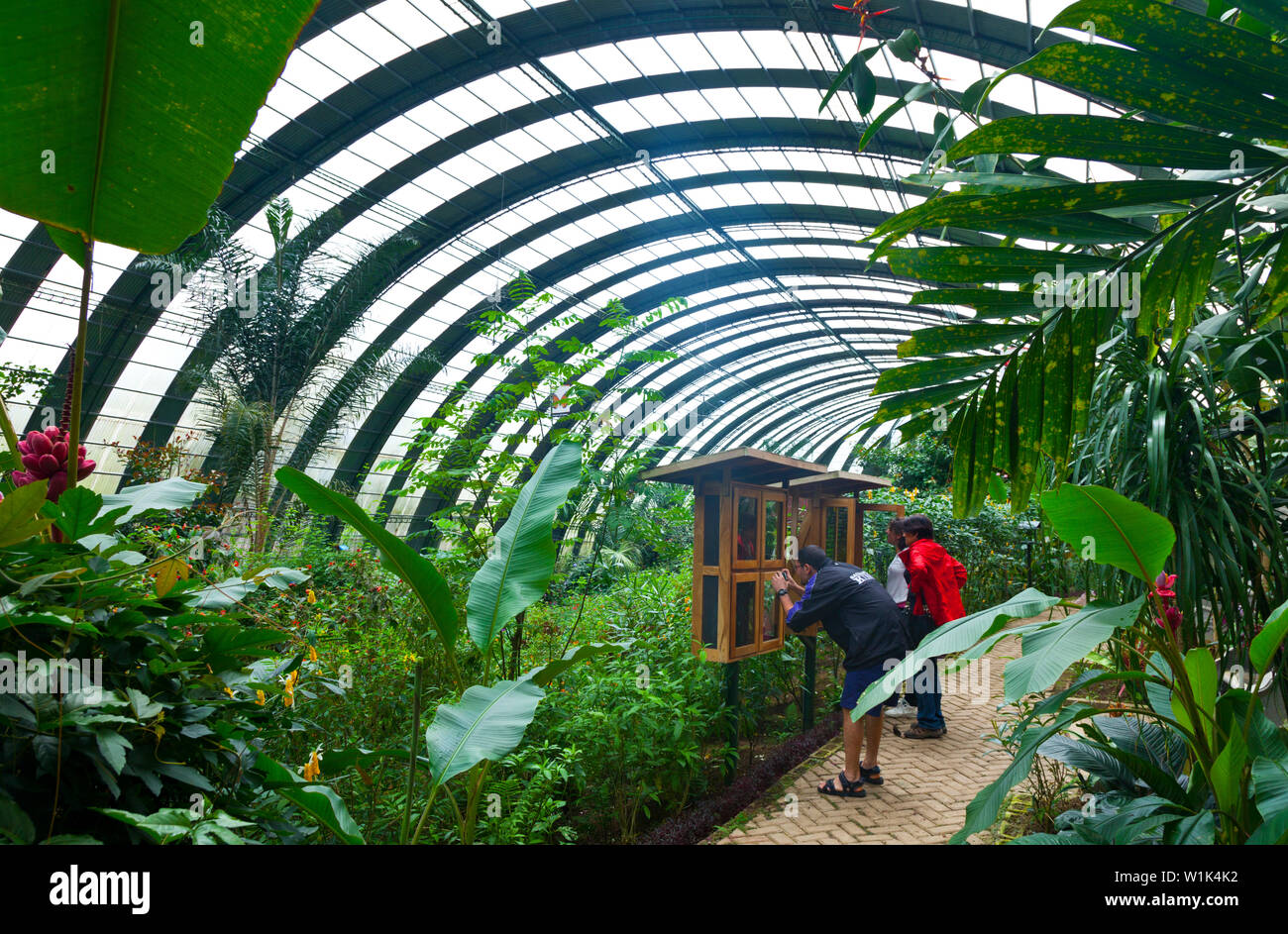 Butterfly greenhouse hires stock photography and images Alamy