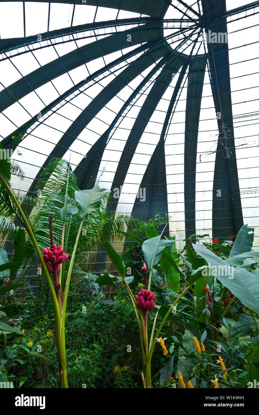 Butterfly greenhouse, Santa Elena Cloud Forest Nature Reserve, Costa