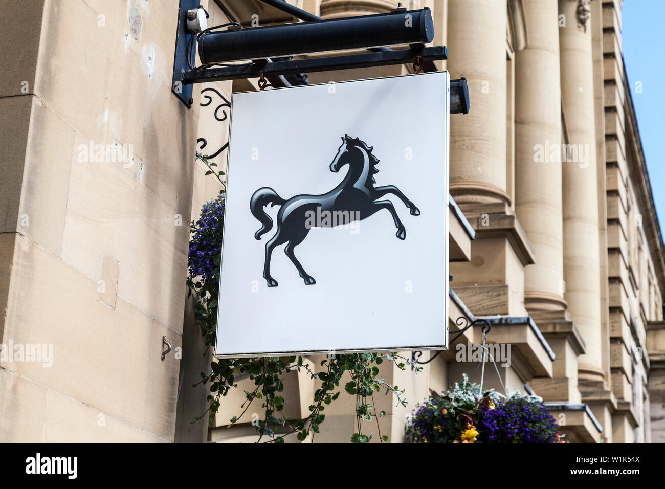 A sign of the Black Horse above the Lloyds TSB bank in Alnwick,Northumberland,England,UK Stock Photo
