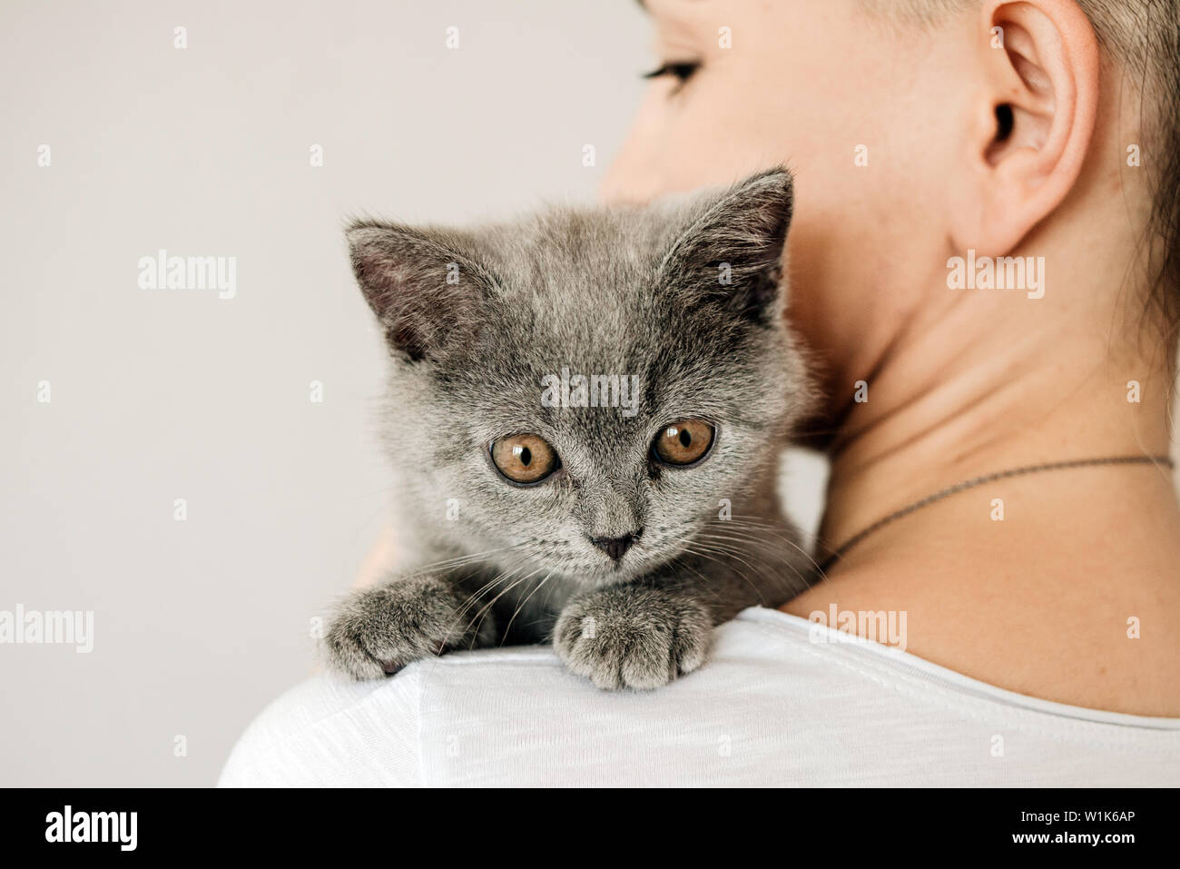 Beautiful Young Woman With Cute Cat Resting At Home The British
