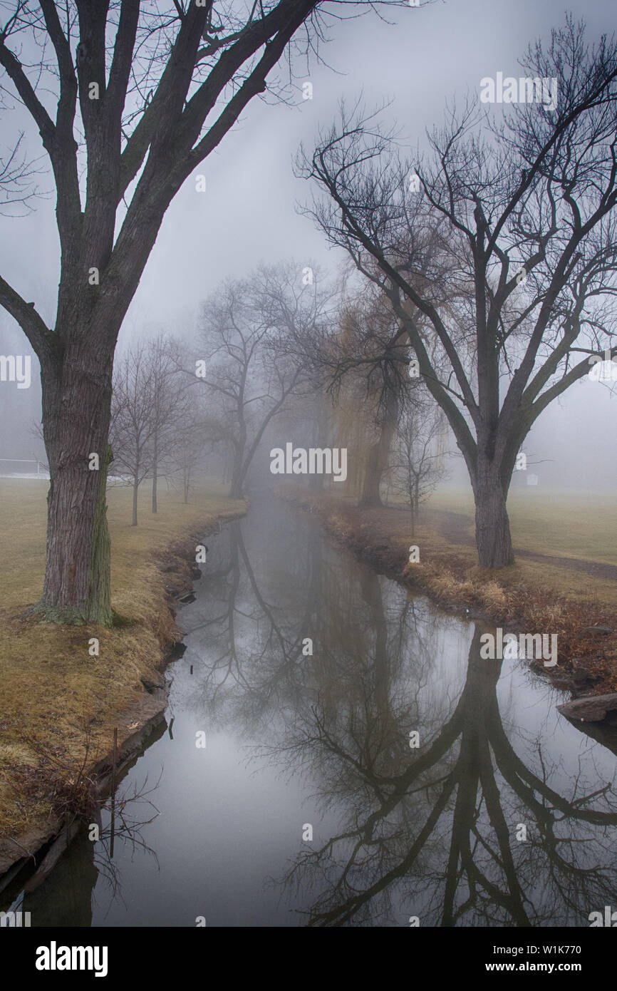 This is one of my shots from the foggy day in February at Appleby College in Oakville, Ontario. Stock Photo